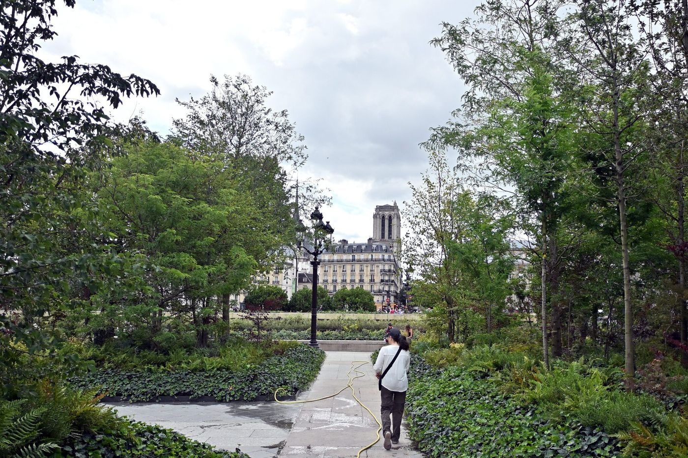 İklim: Paris, on yılda sera gazı emisyonlarını dörtte bir oranında azalttı