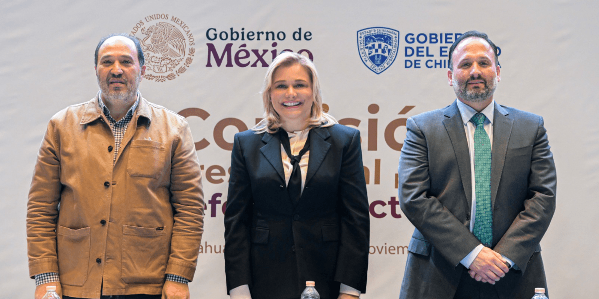 Любая избирательная реформа, направленная на укрепление Республики, должна быть основана на консенсусе субъектов: Мару Кампос