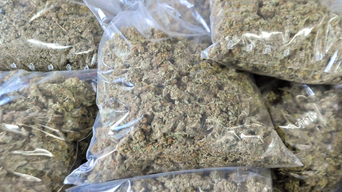 Берлин: пятеро мужчин арестованы после обнаружения наркотиков в Шпандау