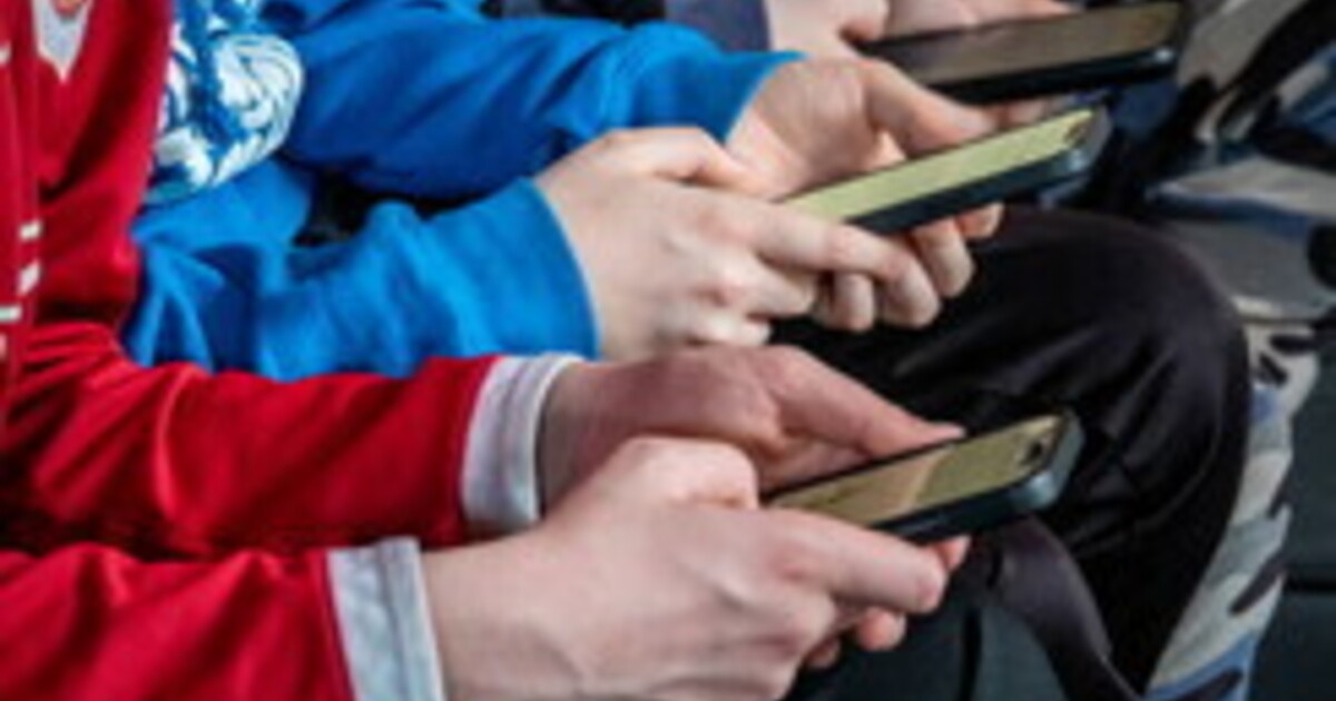 Les plateformes numériques amplifient nos instincts tribaux.