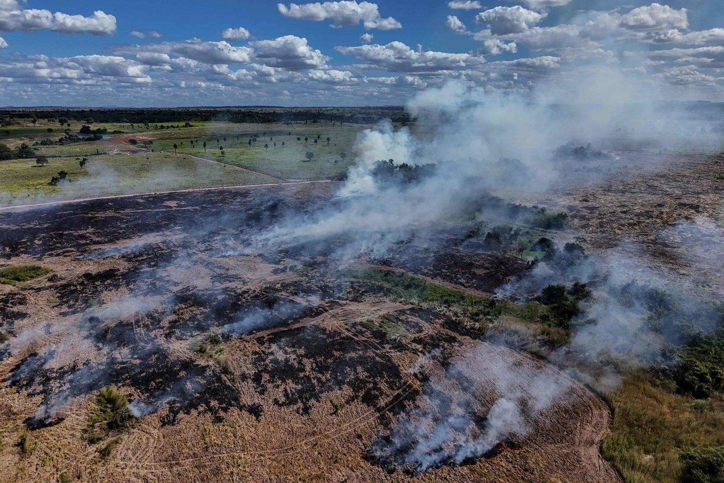En Brasil, se registró la mayor caída de emisiones de gases de efecto invernadero en quince años, gracias en particular a la lucha contra la deforestación.