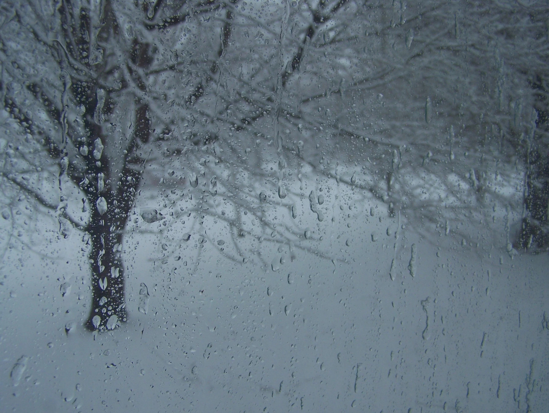 Voici comment le vortex polaire affectera l'hiver en Pologne. Prévisions météo surprenantes.
