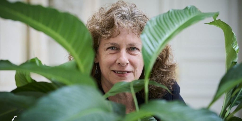 Camille Parmesan:  «La principal razón de que las especies se extingan es la pérdida de hábitats, no del cambio climático»