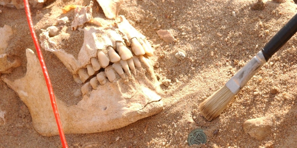 Sono stati identificati i due batteri che annientarono l'esercito di Napoleone durante la sua campagna in Russia.