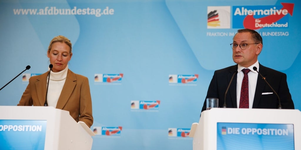 Крайне правые Германии участвуют в конференции БРИКС в России