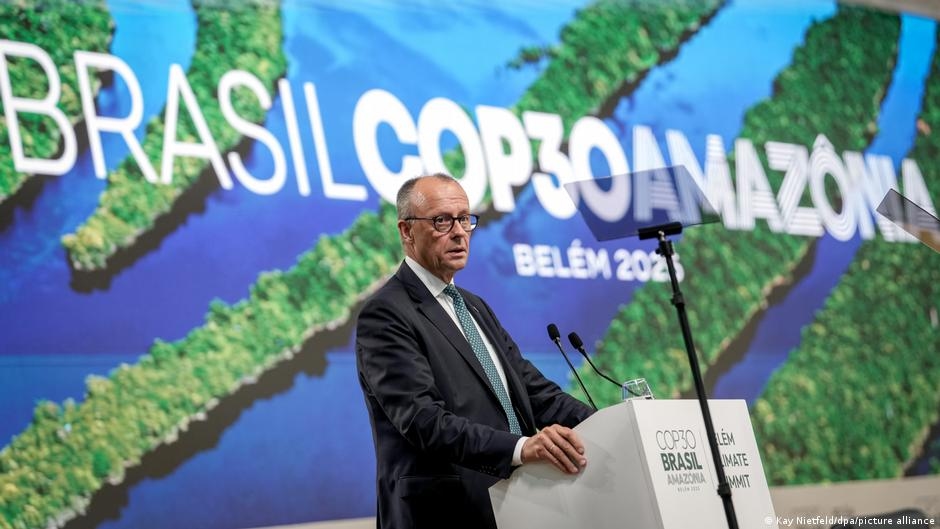 Фонд тропических лесов: каков размер взноса Германии?