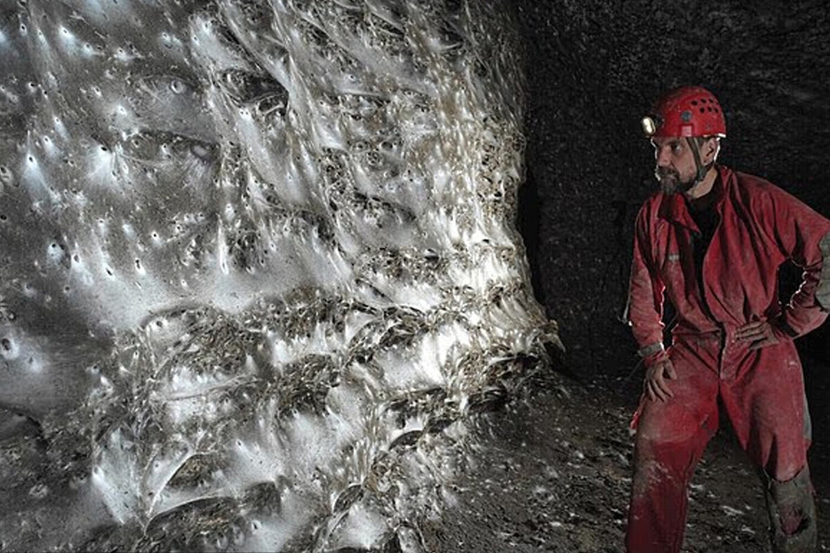 Dünyanın en büyük örümcek ağı keşfedildi.