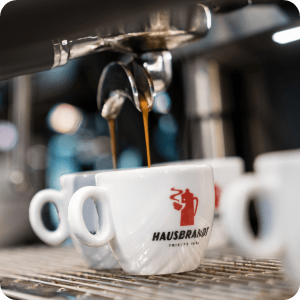 Arianna Zanetti zur neuen Geschäftsführerin und Präsidentin von Hausbrandt Triest ernannt