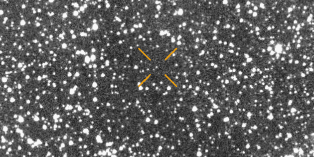 NASA potwierdza, czy kometa 31/ATLAS zagraża życiu na Ziemi