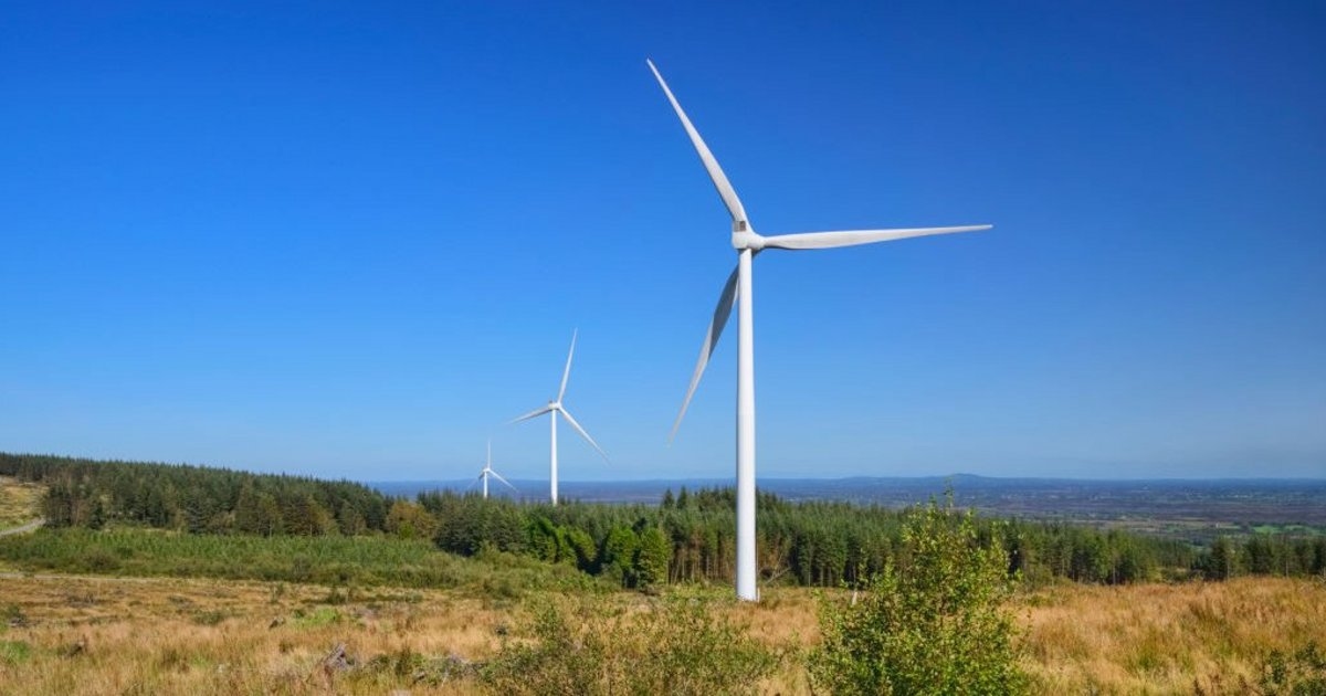 Как критика ветроэнергетики со стороны «Альтернативы для Германии» получает одобрение